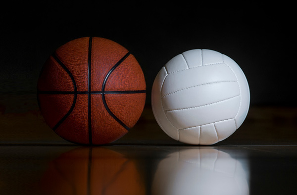 image of basketball and volleyball
