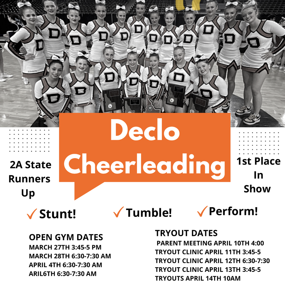 Declo Tryout Flyer all text is listed below