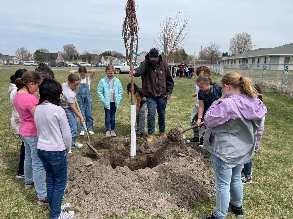 Students planting trees for Arbor Day at White Pine Elementary