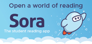 Sora Logo